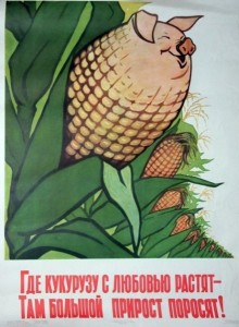 Создать мем: свинья и кукуруза, плакаты ссср, кукуруза царица полей хрущев
