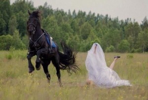 Создать мем: русская свадьба, конь, a horse