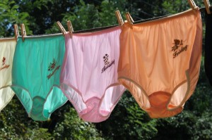 Создать мем: retro panties and knickers, трусы, трусики сушатся после стирки