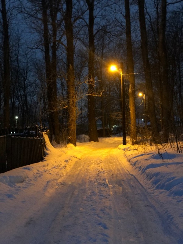 Создать мем: зимний вечер в городе, город ломоносов зима ночь парк, зимний вечер