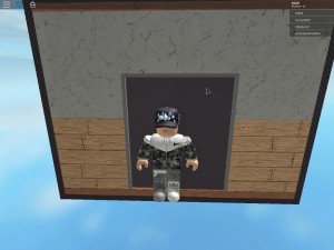 Создать мем: Скриншот, игра роблокс пол это вода, roblox elevator