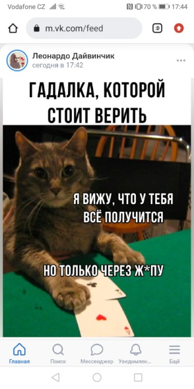 Создать мем: кот, коты играют в карты, скриншот
