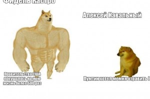 Создать мем: качок доге, мускулистая собака, собака с мускулами мем