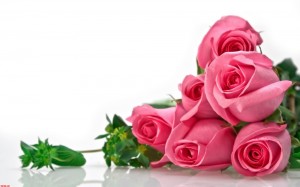 Создать мем: день матери, день народження, pink roses