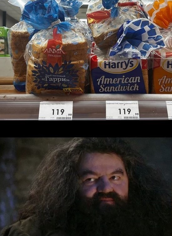 Create meme: hagrid the actor, harry potter hagrid, Hagrid from Harry