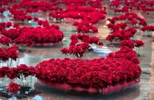 Создать мем: цветы красные розы, цветы красивые розы, красивые розы