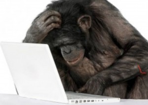 Создать мем: шимпанзе, обезьяна с ноутбуком на белом фоне, обезьяна с ноутбуком