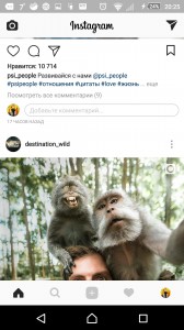 Create meme: monkey, take a selfie