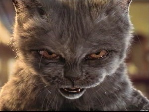 Create meme: cat in anger, a feisty cat, cat vs dog