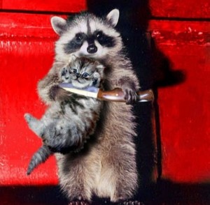 Create meme: enotik, raccoon home, raccoon gargle