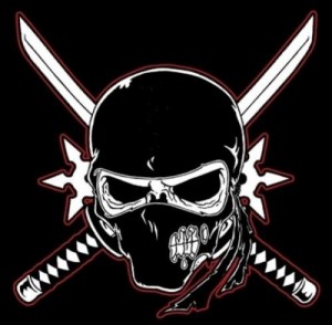 Create meme: skull with swords, cool kortinki on clan, ninja skull