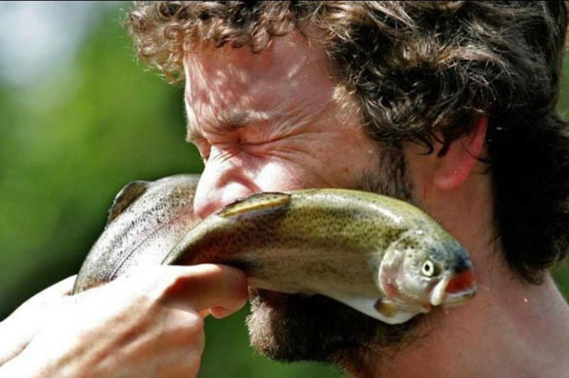 Create meme: a slap on the cheek, give bream, trout fish