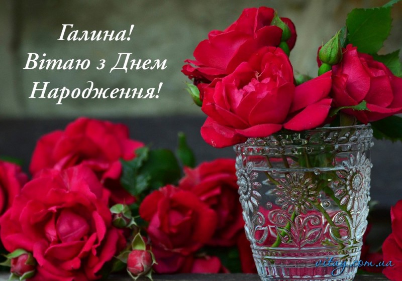 Создать мем: красивые розы, красивые цветы, поздравительные открытки