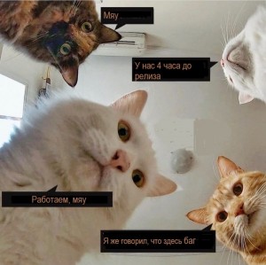 Create meme: Natasha and cats memes, cat, cat
