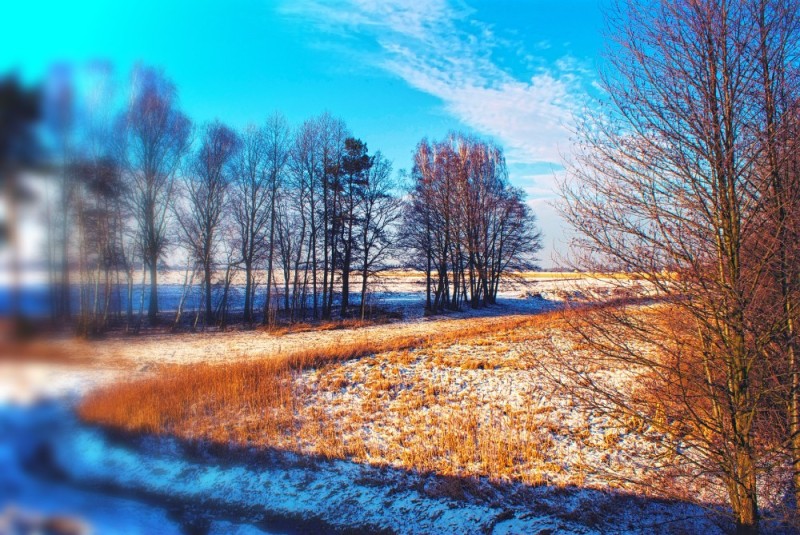 Create meme: November landscape, late autumn, the end of winter landscape