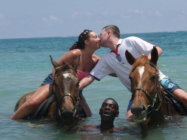Создать мем: лошадь лезет в кадр, на отдыхе, удачный кадр на пляже