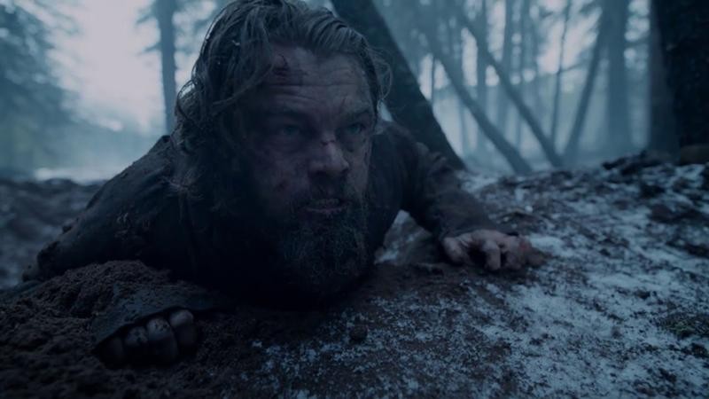 Create meme: revenant, leonardo dicaprio, The survivor leonardo dicaprio