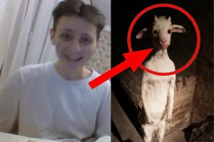 Создать мем: коза, creepy goat standing up, goat
