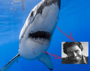 Create meme: great white shark carcharodon, great white shark, the shark eater
