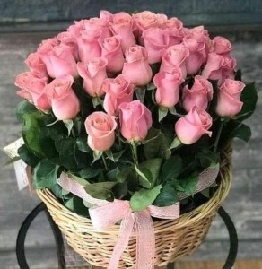 Create meme: bouquet of pink roses, a beautiful bouquet of roses, bouquet of pink roses