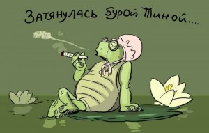 Создать мем: тролли, черепаха тортилла, шутки