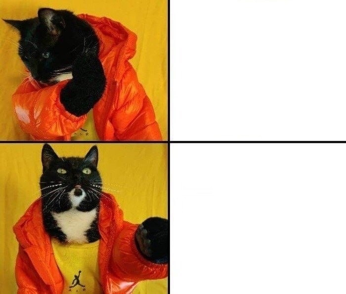 Create meme: cat meme , Drake the cat meme, New Year's memes with cats