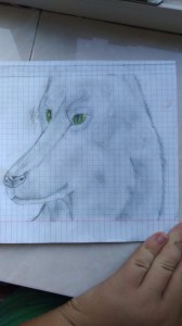 Create meme: Figure, drawing, wolf pencil