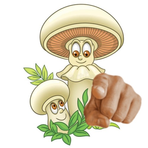 Создать мем: грибы мультяшные, поганка гриб, грибы с глазами мультяш