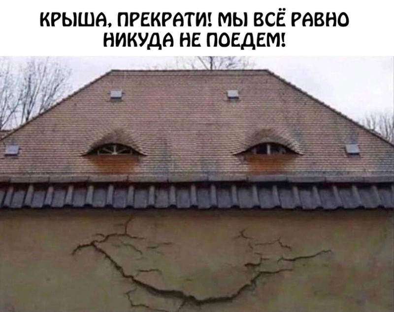 Create meme: the roof stop it we're not going anywhere anyway, the roof of the house, The roof is smiling
