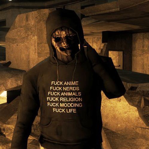 Create meme: zombie stalker, the masked bandits, hooded