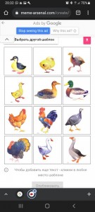 Создать мем: домашние птицы тема для малышей, дидактический материал домашние птицы, домашние птицы карточки для детей
