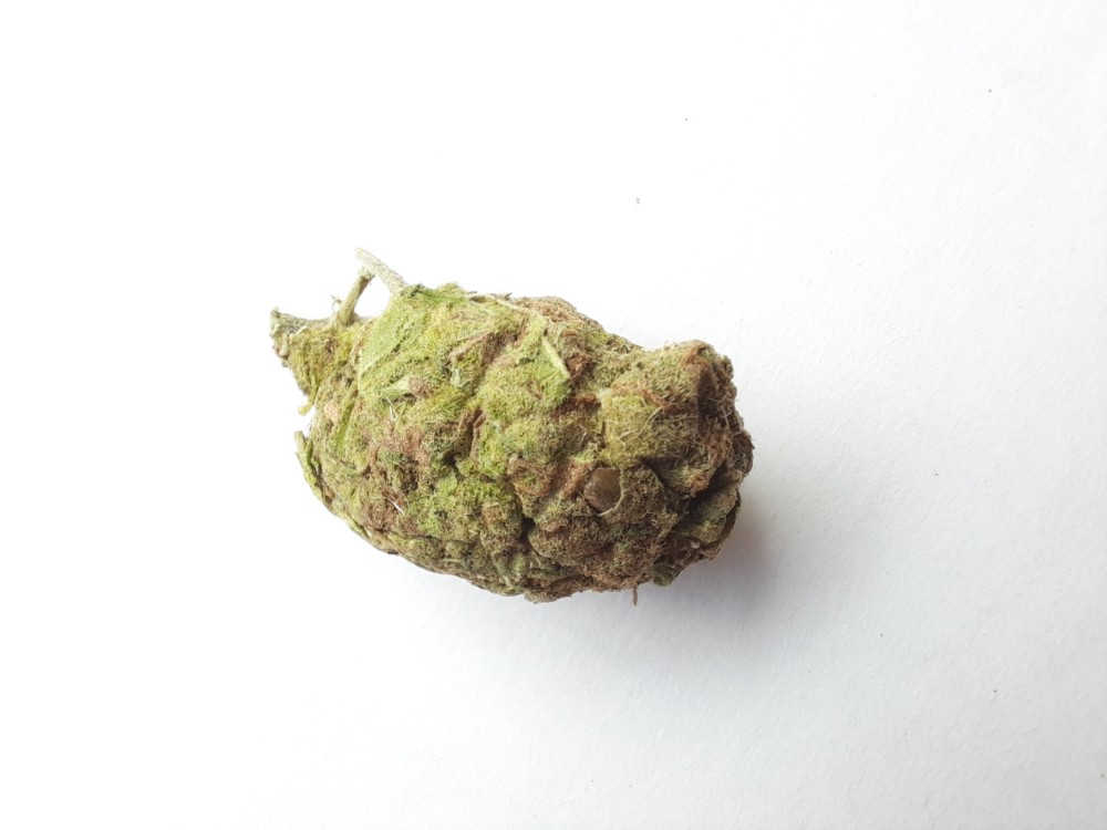 Фото бошки конопли удобрение марихуаны селитрой