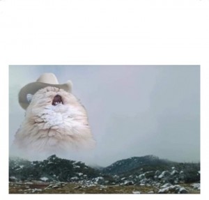 Создать мем: country roads take me home meme, кот в шляпе мем, орущий кот в шляпе