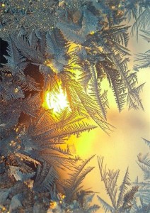 Create meme: winter patterns, frosty patterns on the window, frost