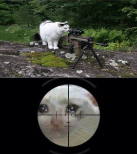 Create meme: sniper meme, sniper cat meme, cat sniper