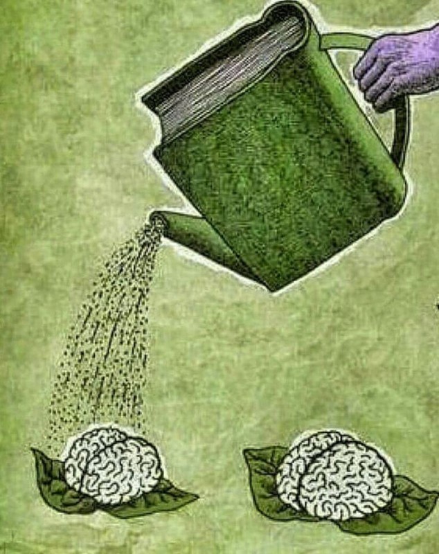 Создать мем: книги со смыслом, поливать мозг, лейка из книги поливает мозги
