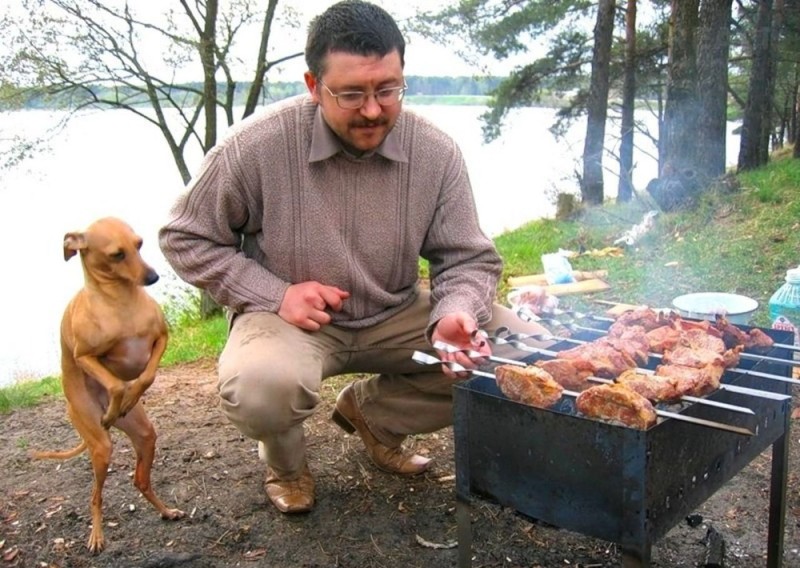 Create meme: a dog roasts a barbecue, dog kebab, dog and kebab
