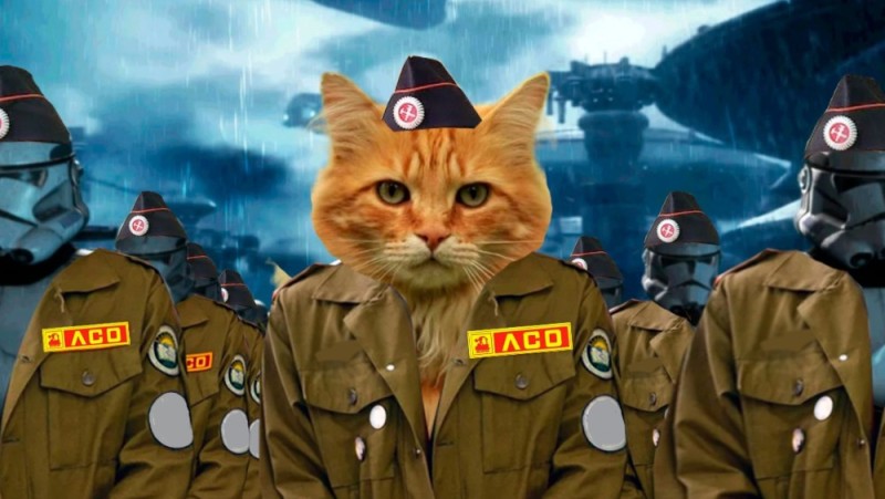 Create meme: combat seals, the cat is a fascist, cats of war