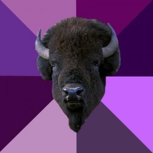 Создать мем: buffalo, Fuck Yeah Band Buffalo