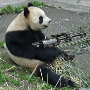 Создать мем: животные панда, панда, панда с пулеметом