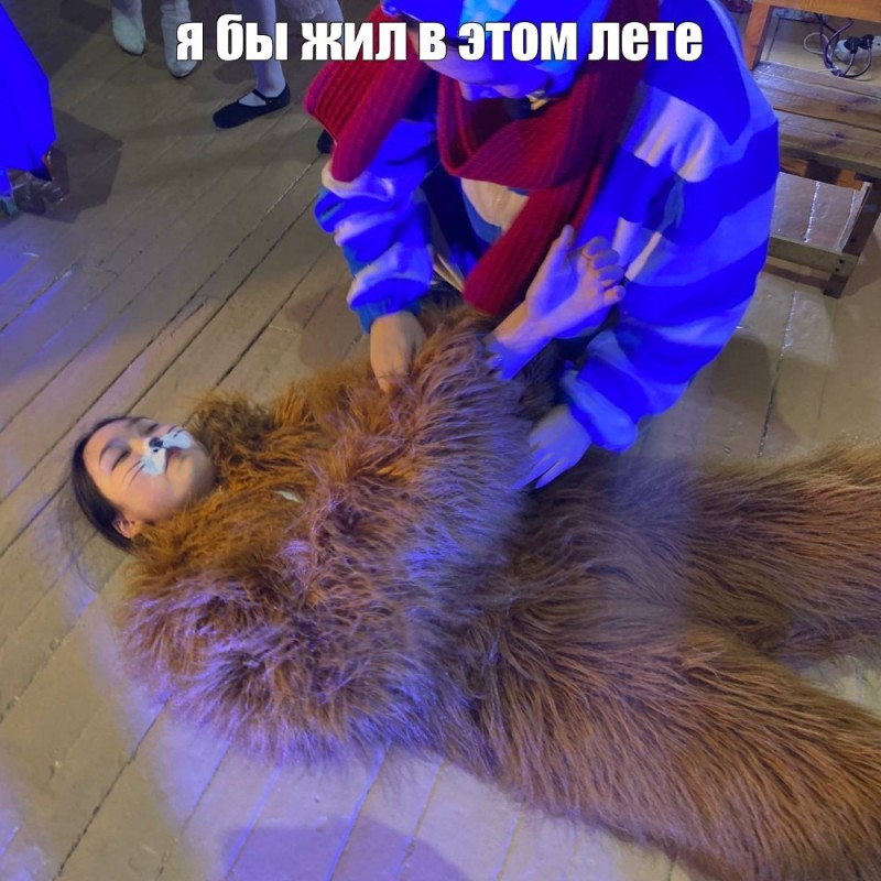 Create meme: people , bear , the beaver
