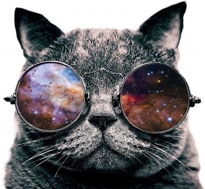 Create meme: cat in round glasses