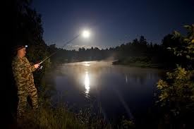 Создать мем: карповая рыбалка, рыбалка ночью, ночная рыбалка на карася летом