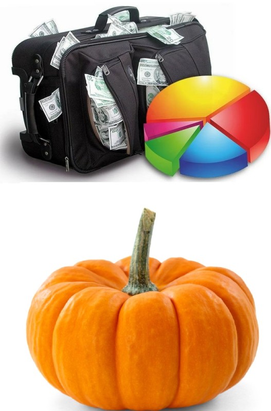 Create meme: pumpkin , orange pumpkin, investment portfolio