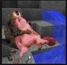 Create meme: the cat in minecraft meme, funny cats , cat 