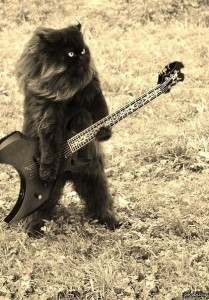 Create meme: cats, Kote, cat with guitar