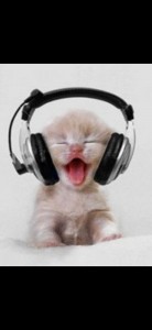 Create meme: animals cute, cat with headphones, cat with headphones