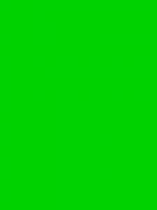 Create meme: chromakey green background, bright green background, lime green