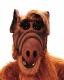 Create meme: Alf