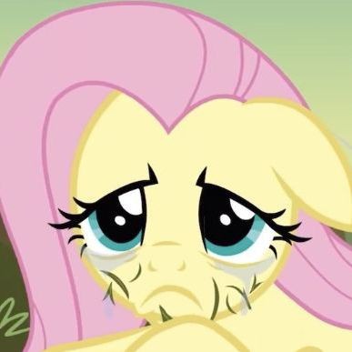 Create meme: fluttershy is crying, Pony fluttershy is crying, fluttershy pony 